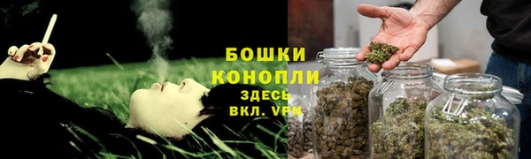 СК Аркадак