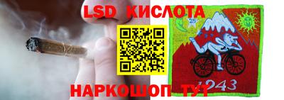 шишки Кунгур