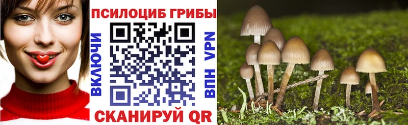 Псилоцибиновые грибы Cubensis  даркнет сайт  Сорочинск 