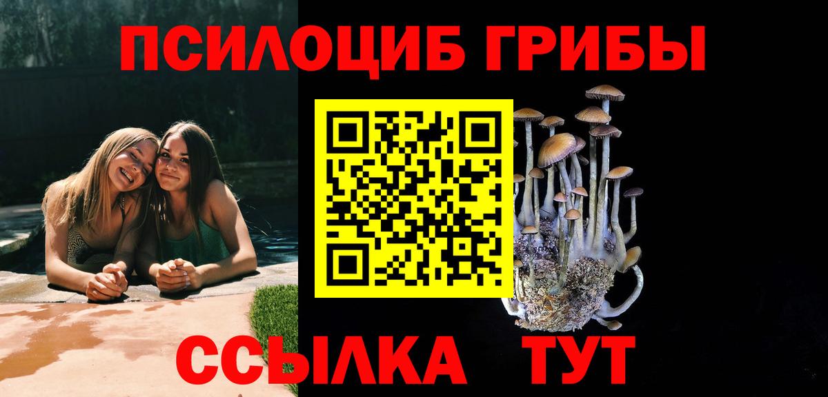 Сорочинск  Галлюциногенные грибы GOLDEN TEACHER  Вход с VPN 